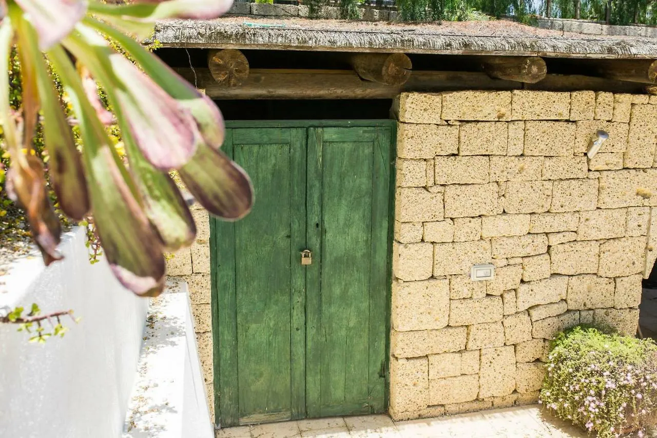 La Malvasia Arico Viejo