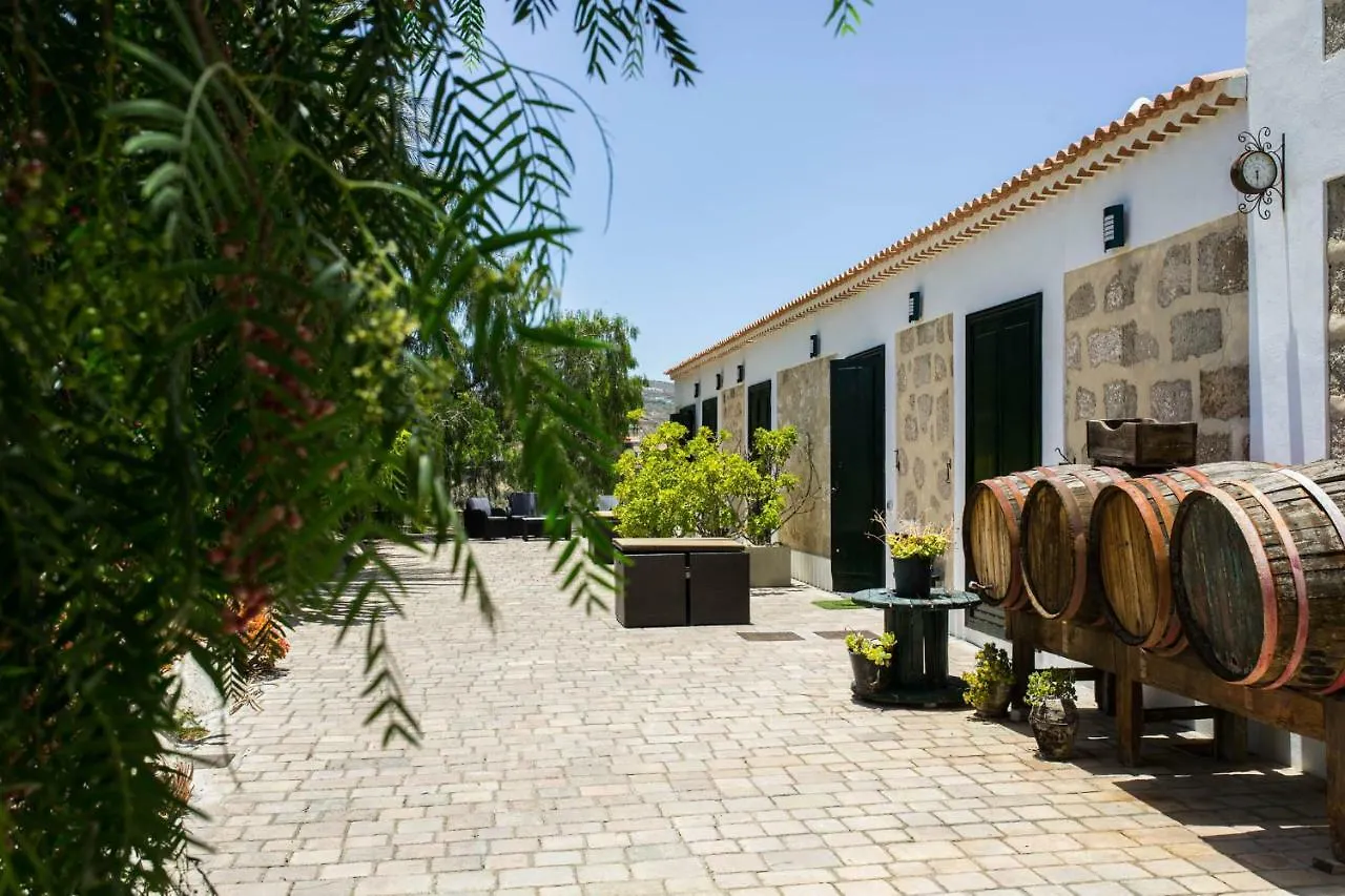 Ferienhaus La Malvasia Arico Viejo Spanien