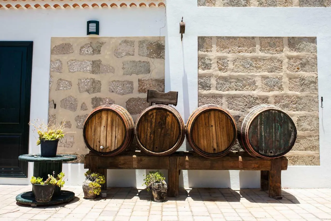 La Malvasia Arico Viejo