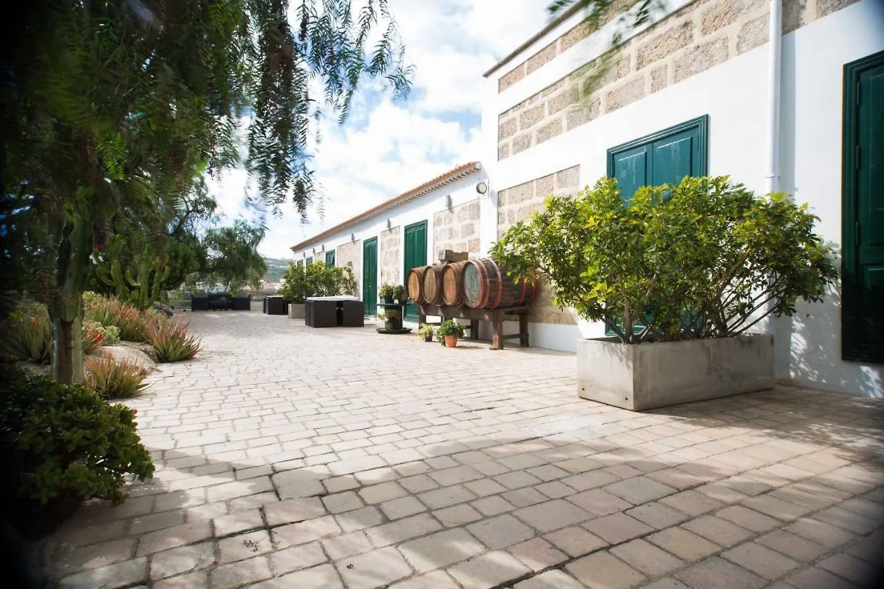 Casa vacanze La Malvasia Arico Viejo Spagna