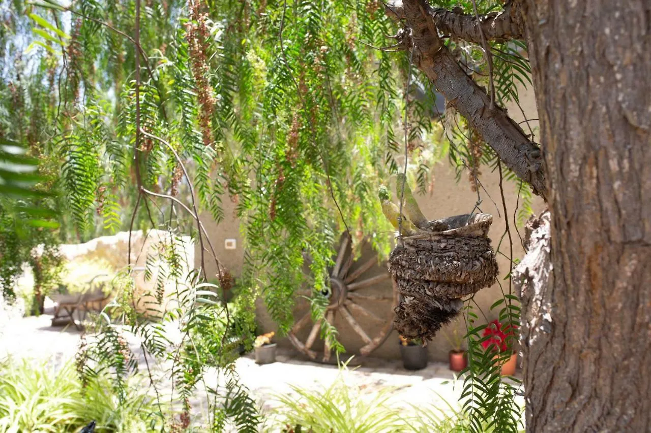 La Malvasia Arico Viejo Holiday home