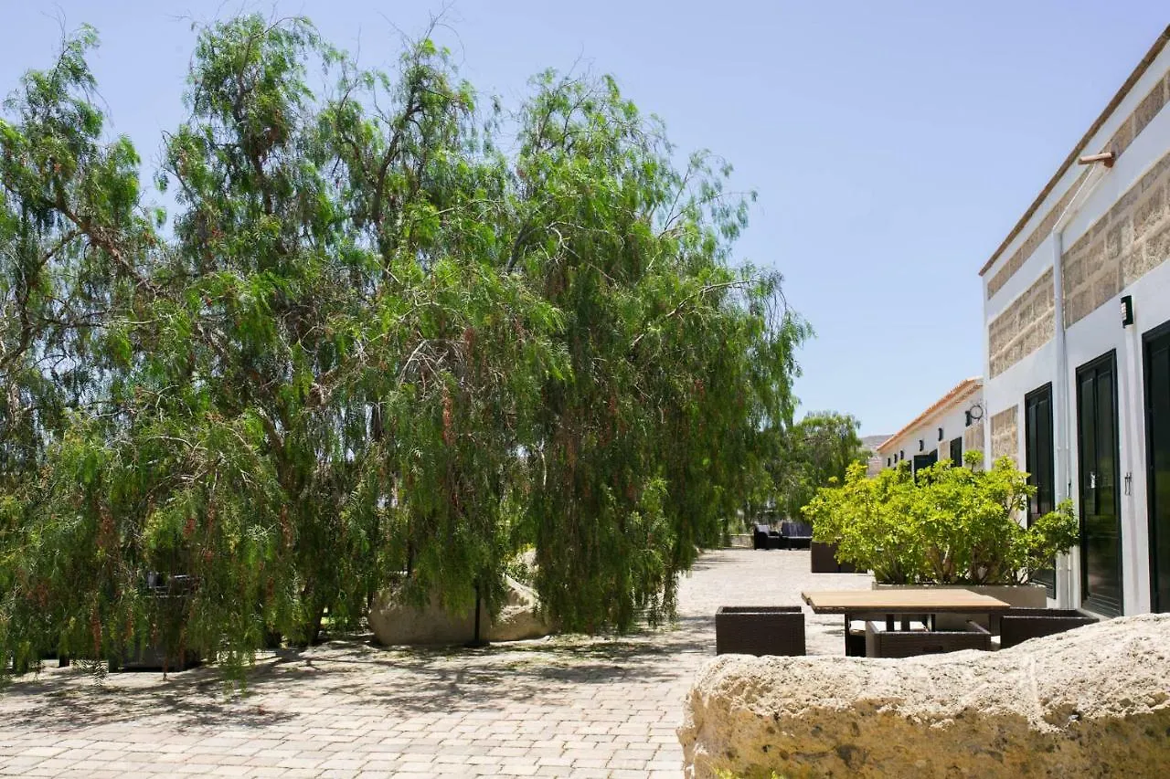 Holiday home La Malvasia Arico Viejo Spain
